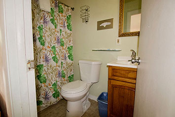 Shower with floral curtain, toilet and sink