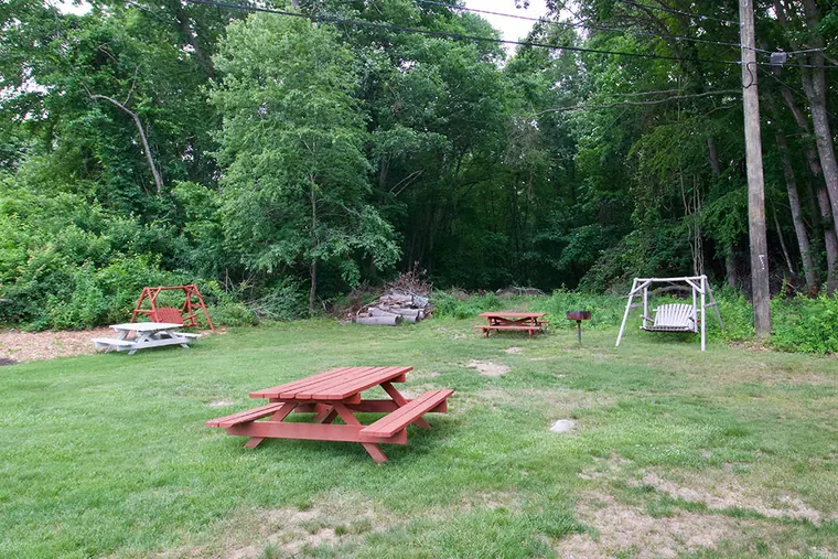 Picnic tables and a swing on the green lawn against the trees